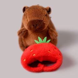 Cute capybara capybara plush gift